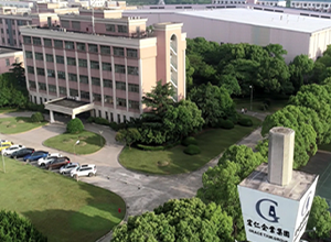 
	宏和电子科技股份
