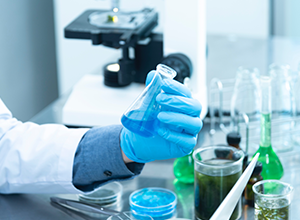 
	上海市食品研究所
